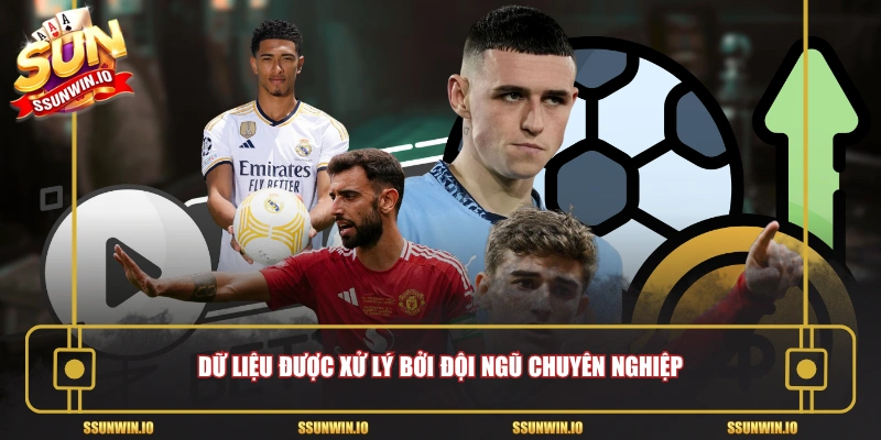 Dữ liệu được xử lý bởi đội ngũ chuyên nghiệp