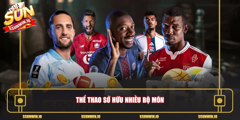 Thể thao sở hữu nhiều bộ môn